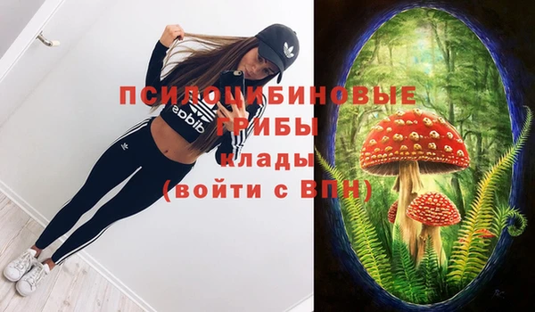 таблы Алзамай