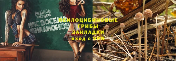 наркотики Алексин