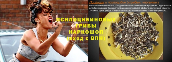 таблы Алзамай