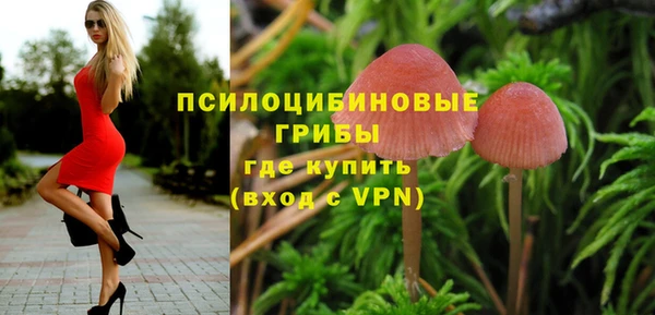 таблы Алзамай