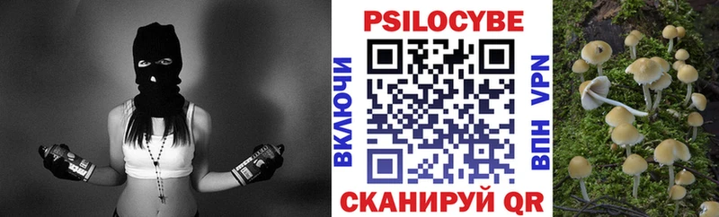 Галлюциногенные грибы Magic Shrooms  Наволоки 
